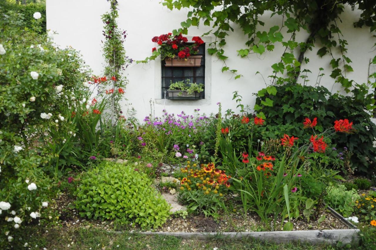 Il Sanco Bed and Breakfast Selva di Progno Eksteriør billede