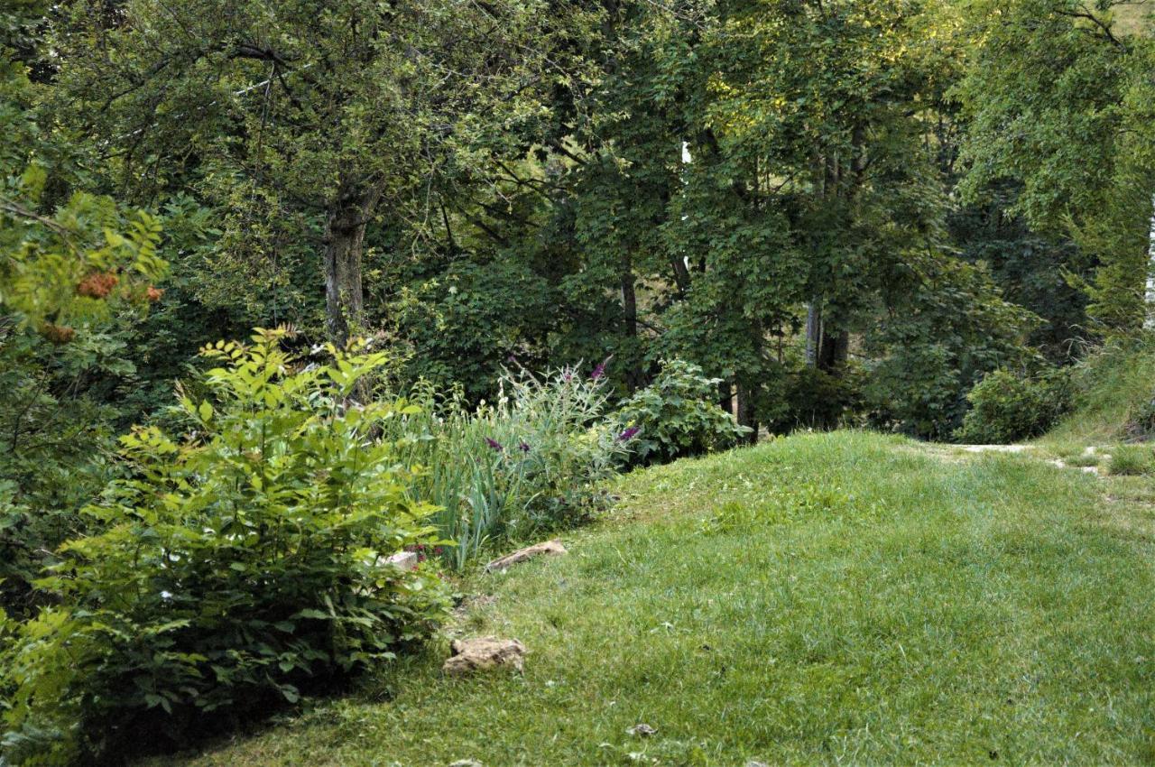 Il Sanco Bed and Breakfast Selva di Progno Eksteriør billede